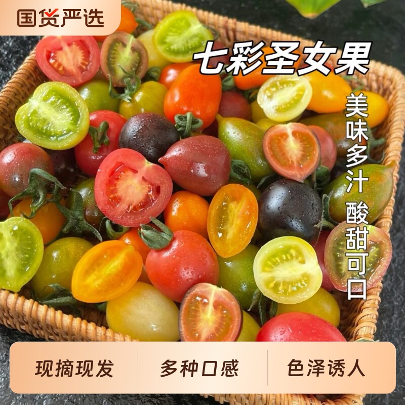 胡鲜森山东七彩小番茄新鲜现摘彩色圣女果多汁混合装水果生鲜迷彩