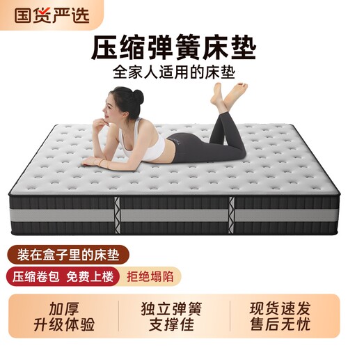 博纹帝天然椰棕独立弹簧护腰床垫