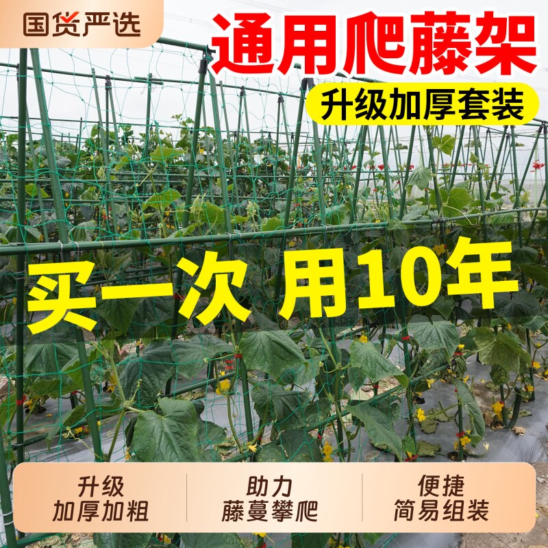 黄瓜爬藤架豆角架杆西红柿支撑杆图片