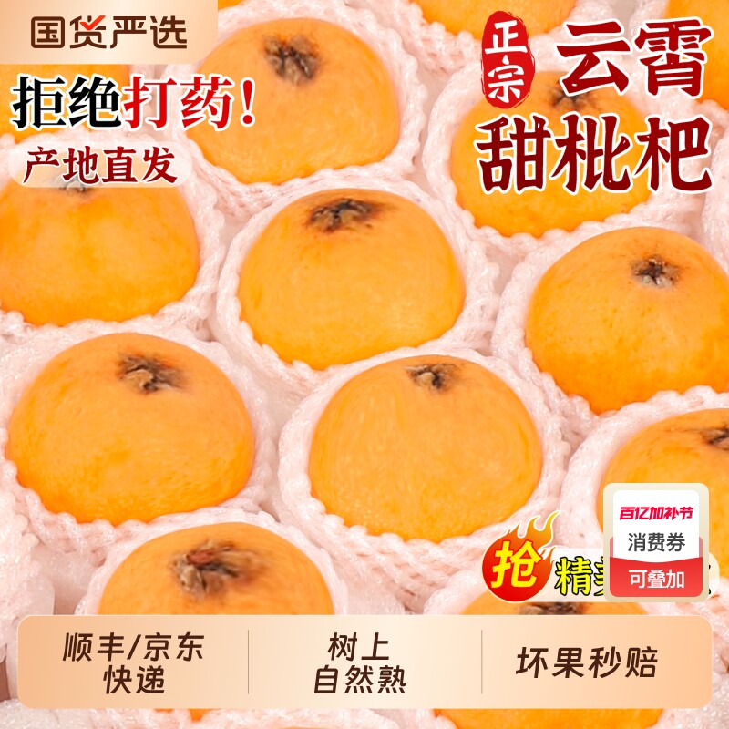 5斤礼盒云霄甜枇杷鲜果当季新鲜现摘大果琵琶批把顺丰甜五星源头