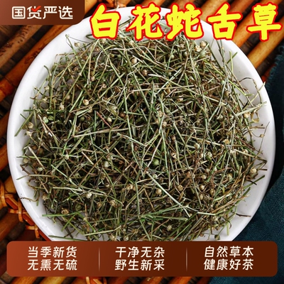 野生白花蛇舌草中药材干货
