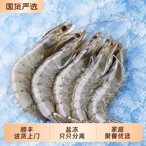 鲜活速冻盐冻分离王牌大虾