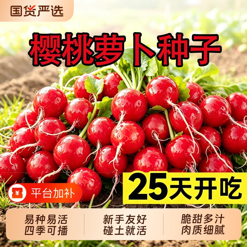 水果樱桃萝卜种籽大全四季阳台盆栽凤梨萝卜种子红白小萝卜种子苗