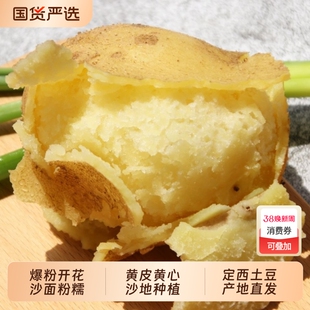 甘肃定西沙面土豆新鲜马铃薯农家洋芋批发5/9斤洋芋中大果粉糯