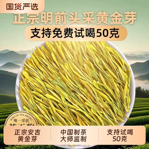 黄金芽特级安吉白茶|千人加购