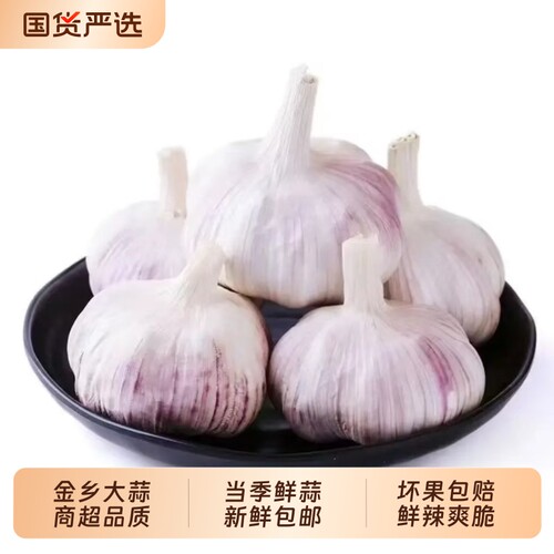 【新鲜鲜蒜】山东金乡大蒜鲜蒜5-6cm紫皮蒜头颗粒饱满产地直发