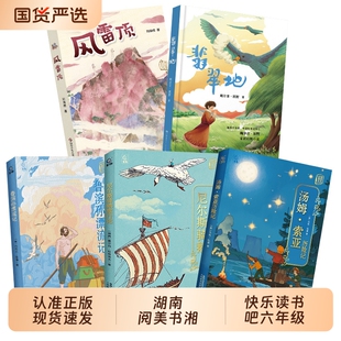 湖南阅美书湘六年级鲁滨孙漂流记名作精编版尼尔斯骑鹅旅行记汤姆索亚历险记风雷顶翡翠地邮电阅读
