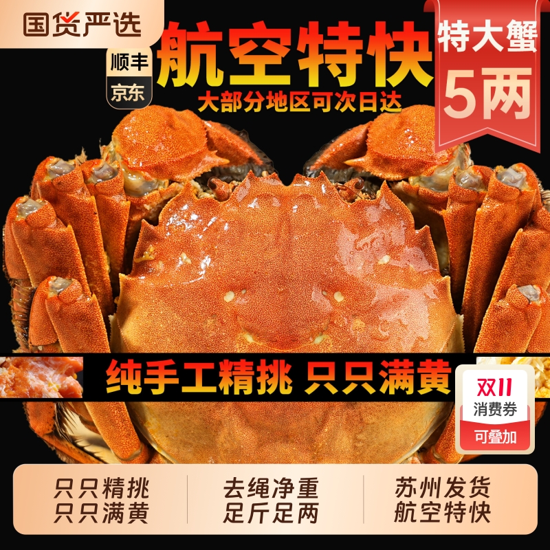 只只满黄阳澄后荡湖精品大闸蟹鲜活全母公超特大螃蟹5两活蟹水产