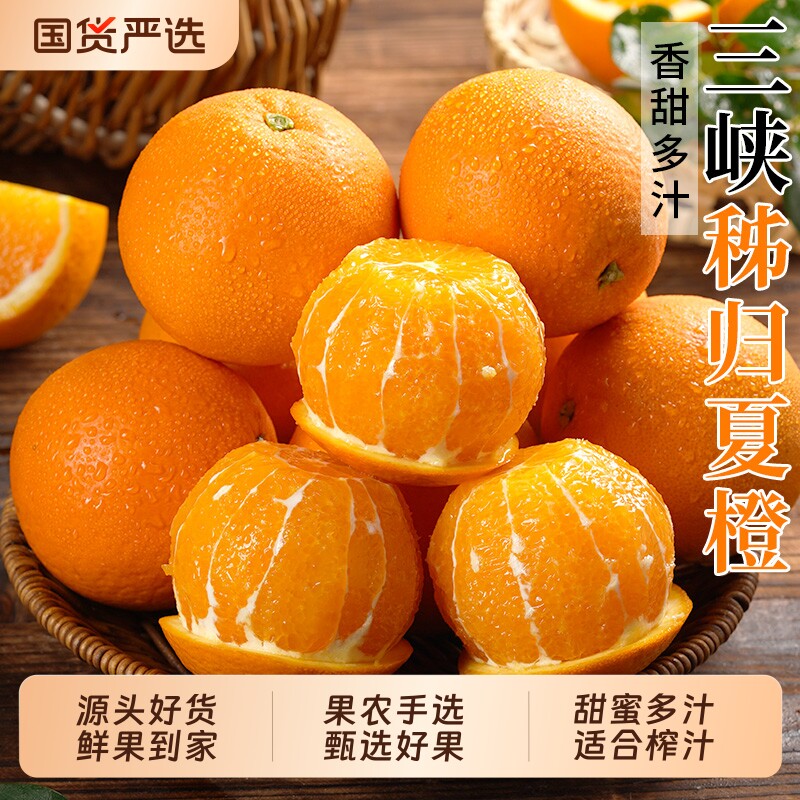 湖北夏橙脐橙春现摘大果新鲜橙子当季好果包邮水果手剥果冻甜橙