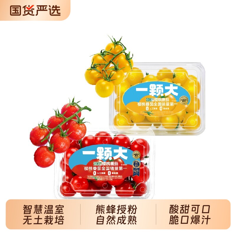 【一颗大】  红黄小串樱桃番茄新鲜自然熟散串生吃水果小西红柿