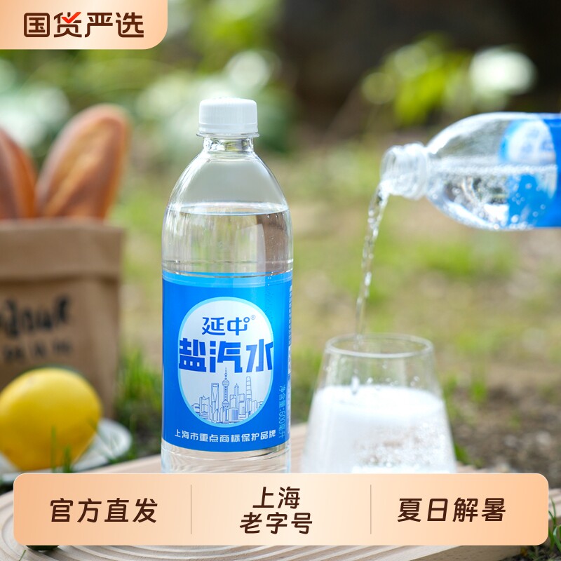 发货延中碳酸饮料盐汽水经典低热量补充体力解渴气泡水乌梅解暑
