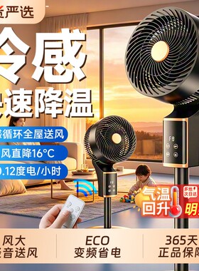 电风扇空气循环扇落地静音家用立扇2026新款卧室宿舍小型台空调扇