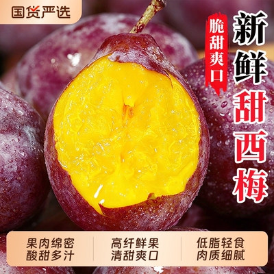 西梅鲜果5斤新鲜水果当季整箱李