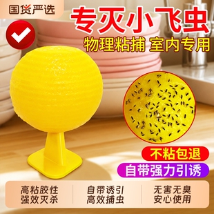 果蝇诱捕器粘虫球苍蝇飞虫强力室内外去除小黑飞灭杀神器厨房捕虫