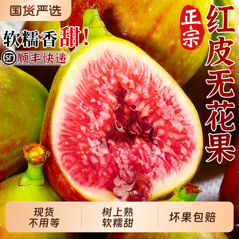 顺丰大果红皮无花果鲜果当季现摘紫皮新鲜水果包邮甜糖包子