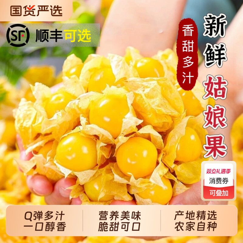 新鲜姑娘果灯笼果顺丰甜菇娘产地直销小金豆奶香菇娘现摘现发