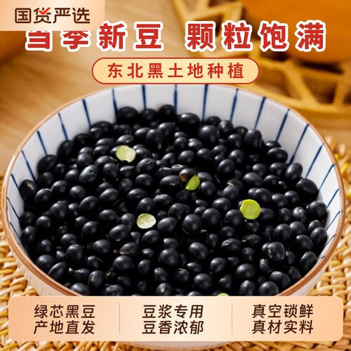 东北绿芯黑豆绿心新货农家打豆浆
