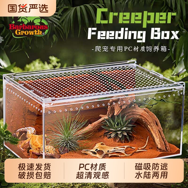 爬宠昆虫饲养盒透明一体免组装寄居蟹饲养缸守宫蜥蜴宠物蛇生态箱 - 实物图