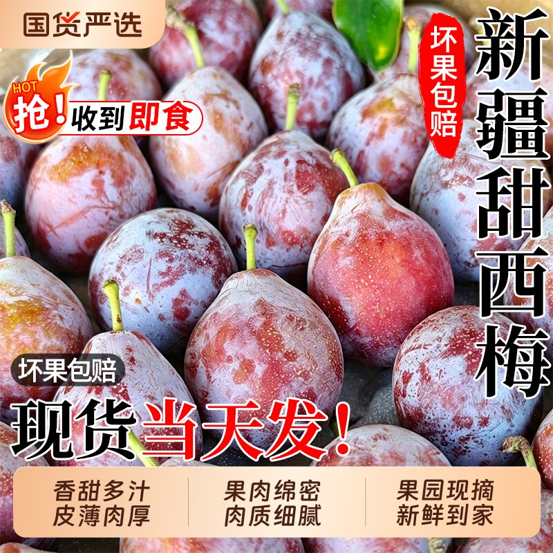 正宗新疆甜西梅大果当季新鲜水果法兰西脆甜自然熟西梅李子包邮