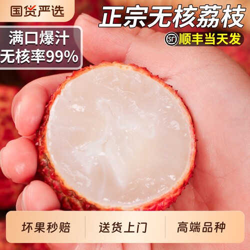 顺丰当天发|正宗海南无核荔枝