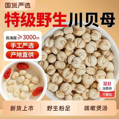 四川贝母中药材正品官方旗舰店野生川贝母粒特级无硫咳嗽炖雪梨汤