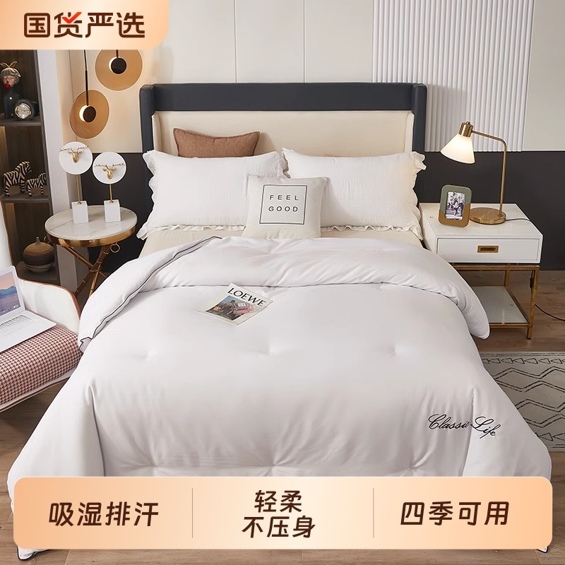 蚕丝纤维被春秋冬被子母被被芯加厚保暖桑蚕丝学生被子丝棉长丝