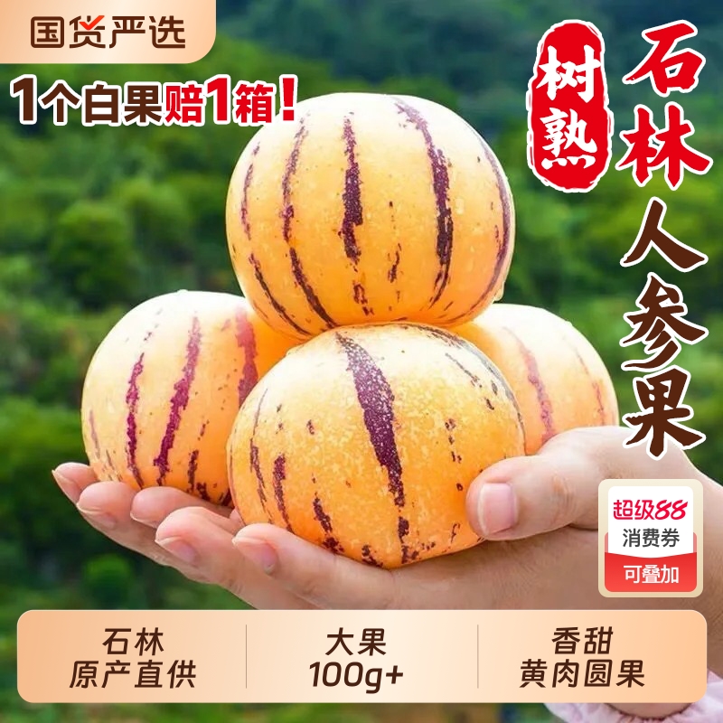 【白果包赔】精品树熟人参果