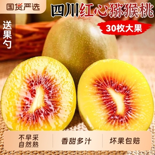 四川红心猕猴桃奇异果水果新鲜应当季蒲江整箱礼盒旗舰店年货节