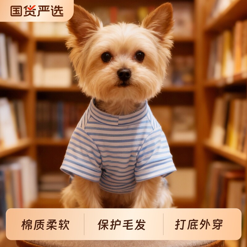 小狗狗泰迪衣服薄款比熊博美宠物衣服小型幼犬春夏棉质猫咪小奶狗
