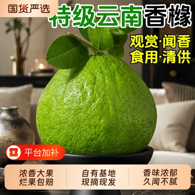 佛手柑鲜果新鲜佛手瓜切带枝室内摆件清供观赏闻香可食用花卉盆栽