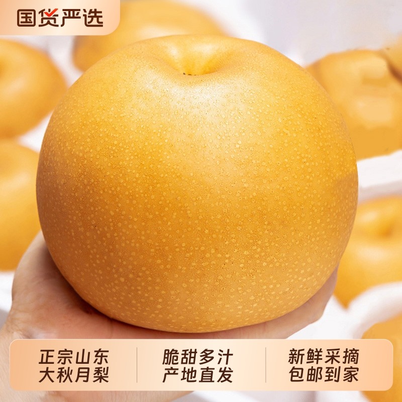 正宗山东烟台莱阳秋月梨新鲜水果冰糖雪梨子整箱10斤产地直发
