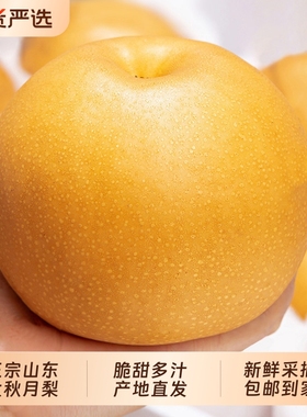 正宗山东烟台莱阳秋月梨新鲜水果冰糖雪梨子整箱10斤产地直发