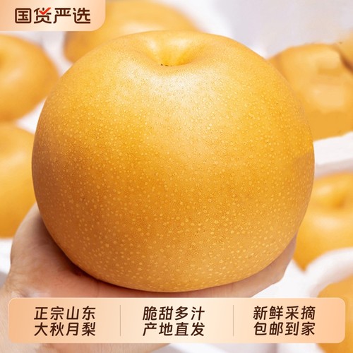 2025正宗山东莱阳秋月梨产地直发