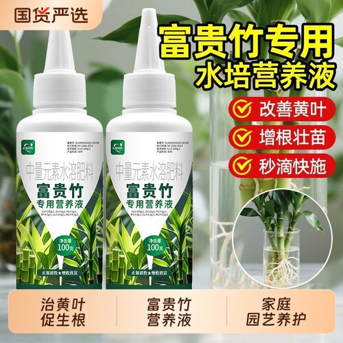 富贵竹专用营养液水培植物