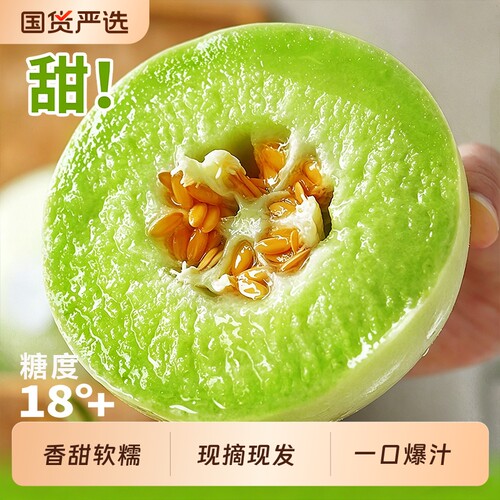 山东冰淇淋玉菇甜瓜香甜爆汁