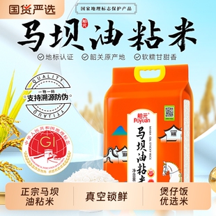 舶元广东韶关马坝油粘米5kg*1袋南方籼米米煲仔饭优选生态真空