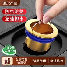 全铜地漏内芯防返臭卫生间毛发过滤网防虫通用封闭盖下水道防臭器