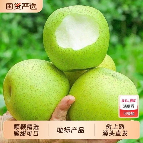 河北青皮皇冠梨新鲜当季水果梨子雪梨整箱包邮应季水果梨产地精选