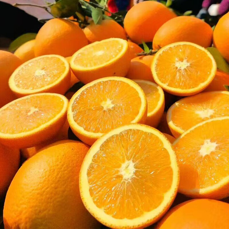 正宗江西赣州赣南脐橙新鲜橙子现采直发儿童孕妇应季甜橙甜蜜多汁