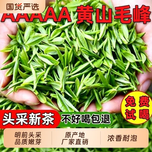 黄山毛峰2026新茶正宗安徽高山绿茶明前毛尖嫩芽春茶礼盒罐装茶叶