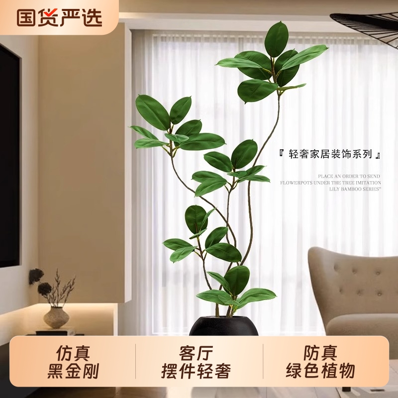 假绿植沙发旁装饰仿真黑金刚室内