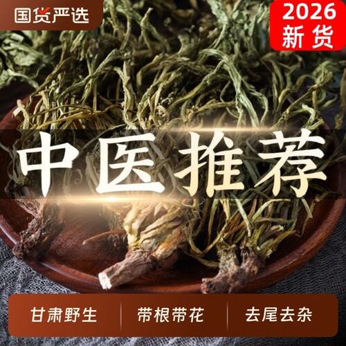 蒲公英正品野生中药材500g
