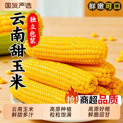 新鲜云南水果甜玉米金银水果玉米糯玉米现摘现发香甜普通双色
