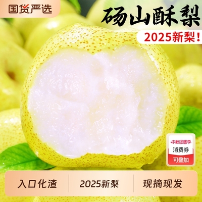 酥脆甜！入口化渣！正宗砀山酥梨