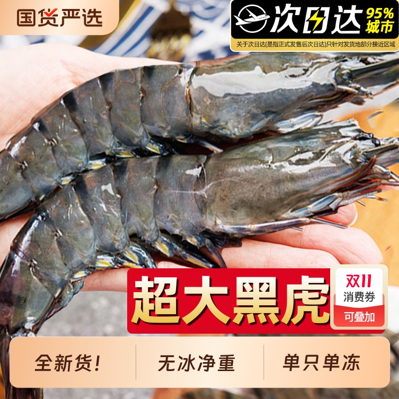 礼金+金币到手62左右！超大黑虎虾净重800g