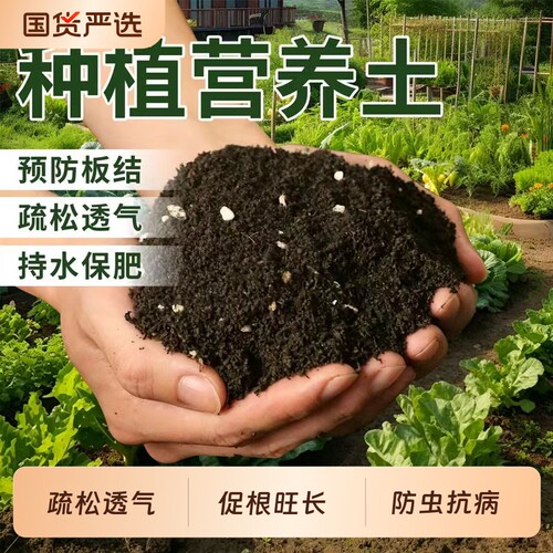 营养土种菜专用土阳台植物种植土壤家用盆栽泥炭土专用有机土养花