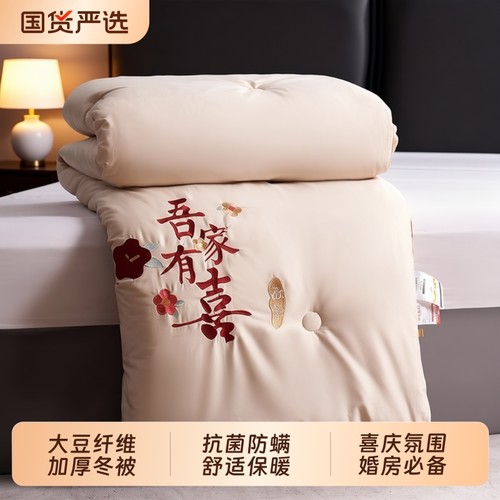 大豆纤维加厚保暖冬季婚庆冬被
