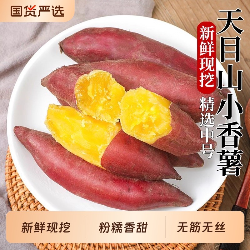 薯小萌临安天目山小香薯蜜薯板栗红薯新鲜农家自种小番薯香甜软糯