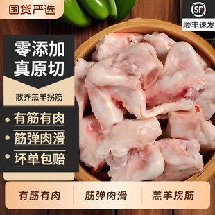 羊拐筋新鲜内蒙古羔羊冷冻半成品食材商用批发羊蹄筋羊拐骨羊肉