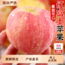 包邮 一整箱 冰糖心丑萍果脆甜多汁当季 山西红富士苹果新鲜水果应季
